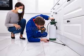 Best Pest Control for Multi-Family Homes  in Hurricane, UT